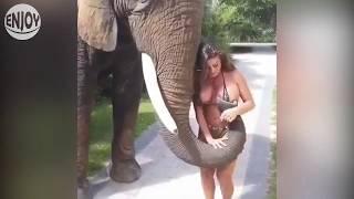 francia james is petting an elephant