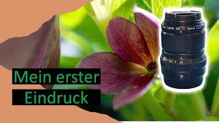 Fujifilm XF 30mm f28 R LM WR Macro - erster Eindruck + Beispielbilder