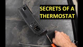 IF YOU HAVE A SNAKE RACK WATCH THIS VIDEO VIVARIUM ELECTRONICS THERMOSTAT SECRETS