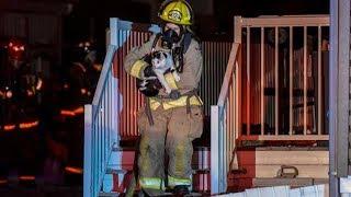 Gato héroe salvó a toda la familia de un incendio mientras dormían