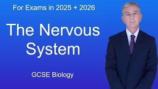 GCSE Biology Revision The Nervous System