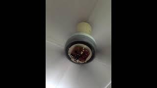 replace Panasonic ceiling fan capositor.