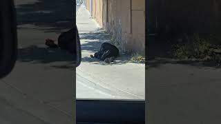 Sweet Dreams Mr Bum #lasvegas #homeless #wow #omg #sleep #sidewalks