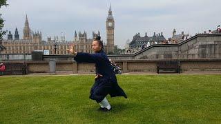 Master Yuan Li Min 13 Step Dandao Wudang Tai Chi Form