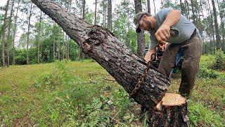 Log Sawing & Tricky Tree Felling