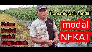 MODAL NEKAT   TRANSMIGRASI MANDIRI KE KALSEL