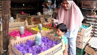 AYAM WARNA WARNI  AYAM RAINBOW LUCU BANGET - YUK KITA BORONG  Kenzie Vlog