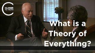 Steven Weinberg - What is a Theory of Everything? Part 12