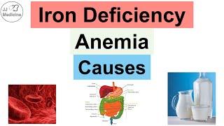 Causes of Iron-Deficiency Anemia  Dietary Losses & Utilization