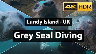 Scuba Diving with Grey Seals - Lundy Island Devon UK 4k HDR HLG - Panasonic GH5s