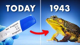 Everything You Didnt Know About Frog Pregnancy Tests