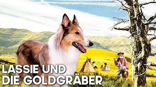 Lassie und die Goldgräber  Familienfilm  Western  Filmklassiker