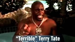 Terry Tate Office Linebacker Terry Takes A Vacation