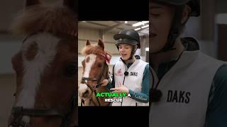 Rescue Ponies Incredible Story