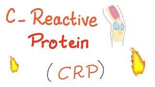 C-Reactive Protein CRP  Inflammation  Acute phase reactant