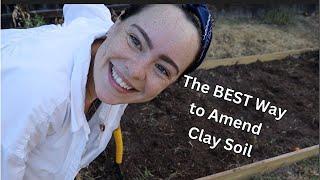 Unlocking the Secrets of Amending Clay Soil for a Thriving Garden  My Proven Techniques