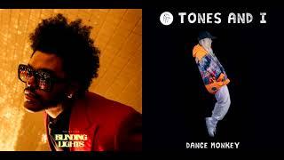 Tones and I - Dance Monkey but The Weeknd - Blinding Lights  Mashup