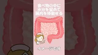 1分間のウンチの話し　～便秘解消法～