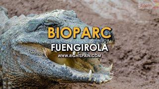 Bioparc Fuengirola Spain 2016.