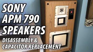 Sony APM 790 Speakers - Disassembly Cleaning & Capacitor Replacement repair