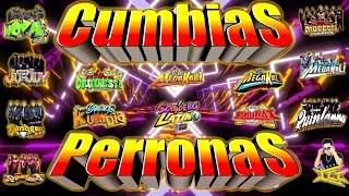 MIX EXITOS CUMBIAS SONIDERAS 2024 CUMBIAS PARA BAILAR TODA LA NOCHE LAS MEJORES CUMBIAS DEL 2024