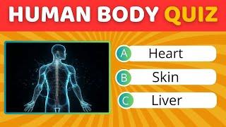 Human Body Quiz  How Many Human Body Parts Can You Guess?