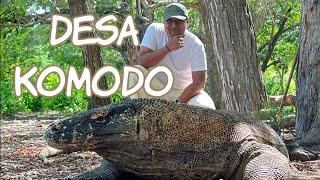 KELILING DESA KOMODO  LAGI JALAN-JALAN GA SENGAJA KETEMU KOMODO