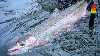 Low Water STEELHEAD Fishing INSANITY Theyre STACKED