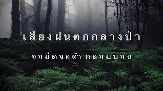 #เสียงฝนตก ฝนตกในป่า จอดำ หลับลึกใน 10 นาที คลื่นเดลต้าช่วยผ่อนคลาย ธรรมชาติบำบัด  EP95