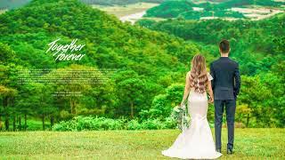 Warm Green Color Grading Preset 2021wedding preset