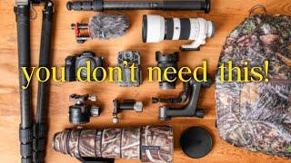Whats NOT in my camera bag for wildlife photography 2024