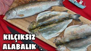 ALABALIK NASIL TEMİZLENİR ? HOW TO CLEAN TROUT FİSH ️KILÇIKSIZ FİLETO VE KELEBEK ÇIKARMA VİDEOSU