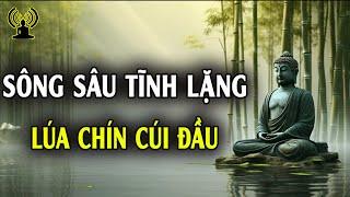 Khiêm Tốn Là Một Đức Hạnh Diệt Ngã Xả Tâm Giúp Cho Tâm Hồn Thanh Thản An Lạc Và Vô Sự.