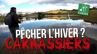 Comment pêcher en HIVER ? brochet perche sandre... - Carnassiers FISHARE