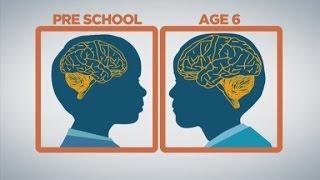 How baby brains develop