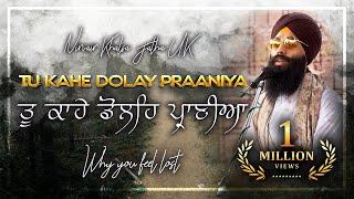 Tu Kahe Dolay Praniyaa  ਤੁ ਕਾਹੇ ਡੋਲਿਹ ਪ੍ਰਾਣੀਆ  Why You Feel Lost  Soothing Gurbani Kirtan  NKJ