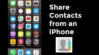 How to Share Contacts on iPhone