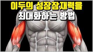 이두의 성장 잠재력을 최대화하기 위한 장두와 단두 운동 분석