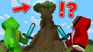 Climbing The Worlds Biggest Tree in Minecraft