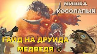 Гайд на Друида МЕДВЕДЯ Druid Feral Tank  World of Warcraft Classic