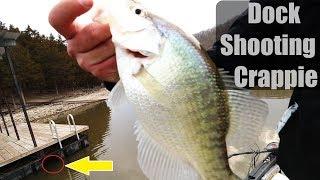 Dock shooting for Spring Crappie Find Crappie in Spring