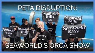 James Cromwell and PETA Take Over SeaWorlds Orca Show