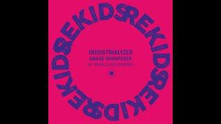 Industrialyzer - Snake Whisperer Radio Slave Remix