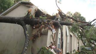 Fallen trees downed power lines in Tallahassee after Helene makes landfall