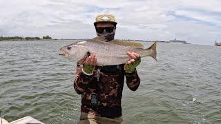 Hopping Soft Plastics over Deep Reef in the Brisbane River - Its Easy & Effective