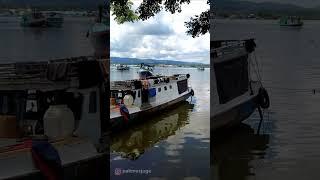 Lagi santai di bawah pohon dekat pantai teluk kendari...