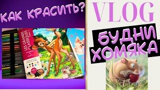 VLOG Будни колориста 32 - как красить Hachette Tome 11Раскраски антистресс