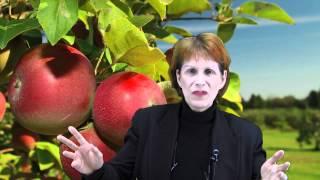 What is Nutritional Medicine? by Dr. Tracie OKeefe