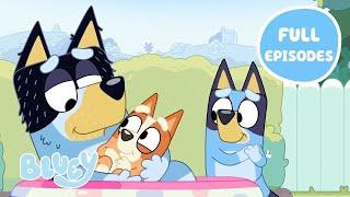 Bluey FULL Episodes Seasons 1 - 3   Featuring Dad Baby Faceytalk and more  2 HOURS  Bluey