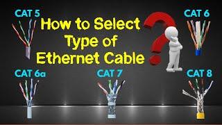 Comparison of Ethernet Cable CAT5 CAT6 CAT7 and CAT8 Types of LAN Cable